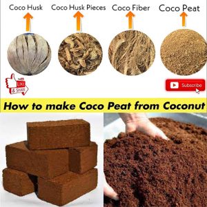 Coco Peat (Coco Coir) in Nairobi Kenya