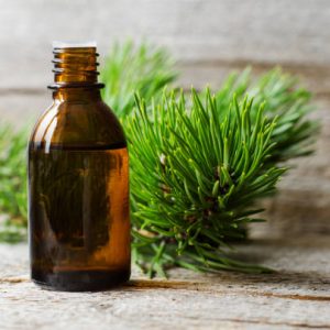 Pine Oil in Nairobi, Kenya