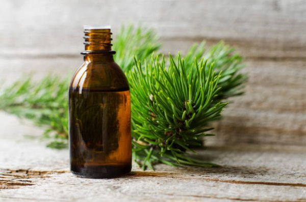Pine Oil in Nairobi, Kenya